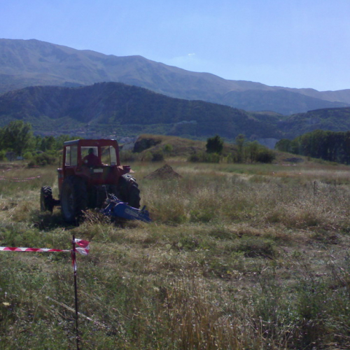 Primi lavori / 41176