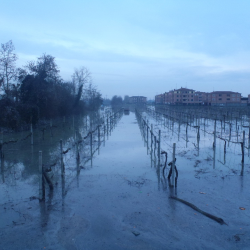 I^ colonna mobile n. 6 / 103173