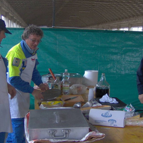 Addestramento 14/03 n. 14 / 35980