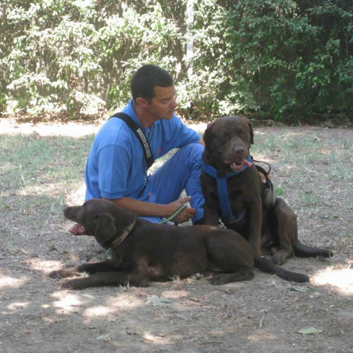 Gallery scuola estiva di Protezione civile Lignano n. 7 / 84871