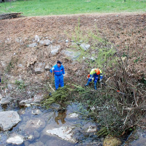 Intervento Attimis n. 27 / 78814