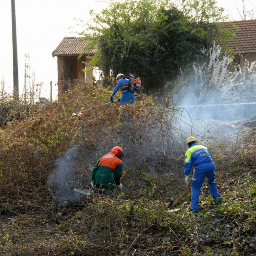 Intervento Ronchis n. 27 / 78922