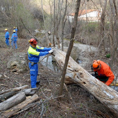 Intervento San Dorligo della Valle - Dolina n. 27 / 79139