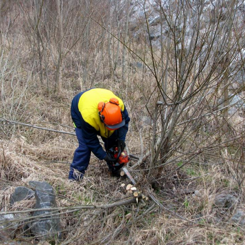 Intervento Ovaro n. 27 / 79009