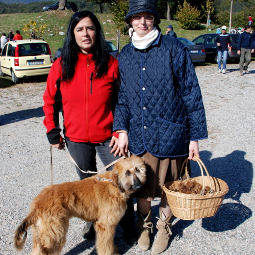 Castagnata 2011 n. 13 / 71364