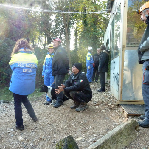 Prove abilitative Unit‡ cinofile n. 14 / 73987