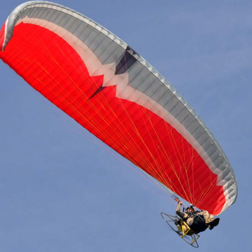 Esercitazione DOG FRIEND 2013" n. 28""sercitazione "DOG FRIE""ercitazi" / 94675