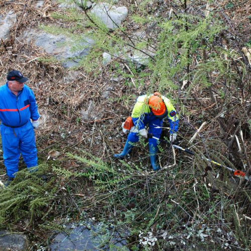 Intervento Attimis n. 28 / 78815