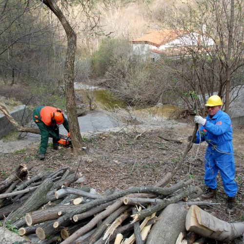 Intervento San Dorligo della Valle - Dolina n. 28 / 79140