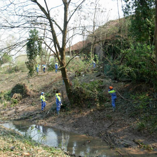 Intervento Ronchis n. 28 / 78923