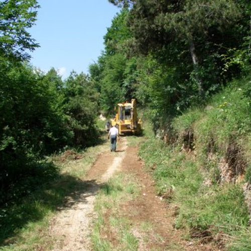 attivit‡ ripristino di una pista forestale n. 29 / 53647
