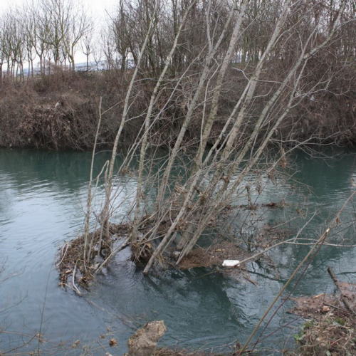Monitoraggio del fiume Fiume n. 5 / 60592