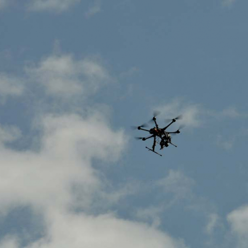 Esercitazione DOG FRIEND 2013" n. 29""sercitazione "DOG FRIE""ercitazi" / 94676