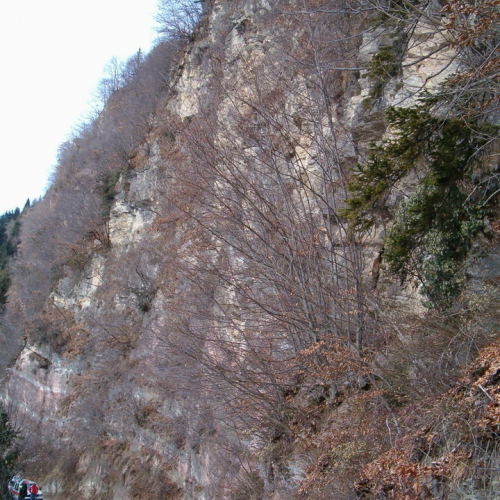 Lavori Arta Terme foto 2 / 9133