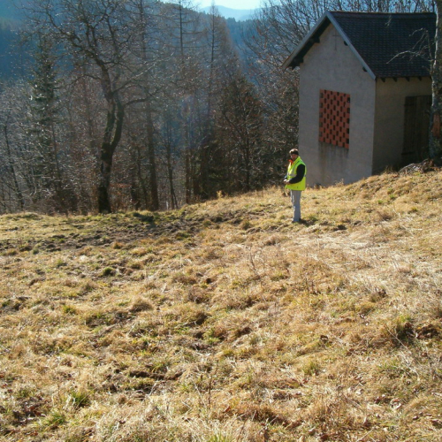 Comeglians foto 3 / 9175