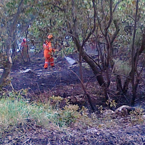 Incendio boschivo 23/06 n. 2 / 67740