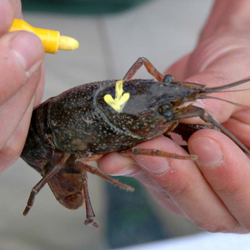 Attivit‡ 21/08/12 n. 1 / 85276