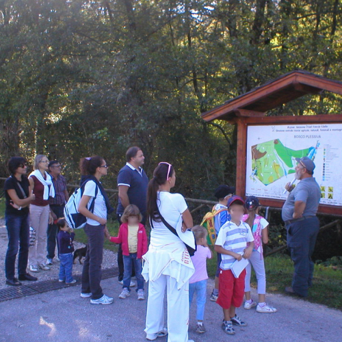 Attivit‡ di supporto alla giornata internazionale delle foreste n. a 3 / 70921