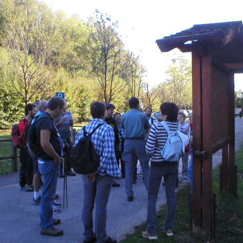 Attivit‡ di supporto alla giornata internazionale delle foreste n. a 5 / 70923