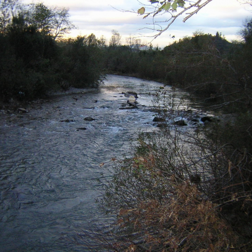 Traversa pre intervento / 18900