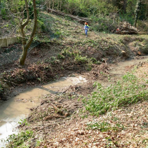 Intervento Ronchis n. 29 / 78924