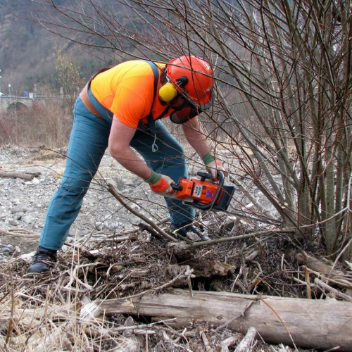 Intervento Ovaro n. 29 / 79011