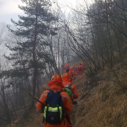 Incendio boschivo Tramonti di Sotto n. 1 / 79663