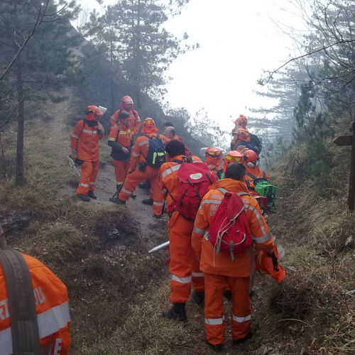 Incendio boschivo Tramonti di Sotto n. 2 / 79664