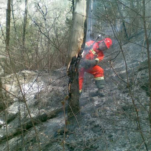 Incendio boschivo a Illegio n. 9 / 79569