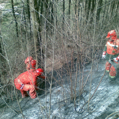 Incendio boschivo a Illegio n. 10 / 79570