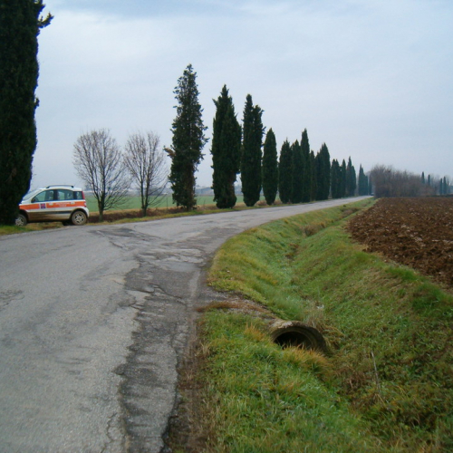 Foto riprofilatura fossati n. 24 (prima dell'intervento) / 23093