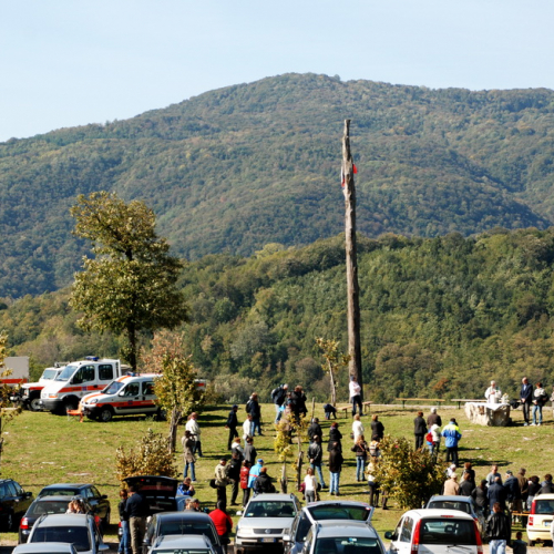 Castagnata 2011 n. 14 / 71365