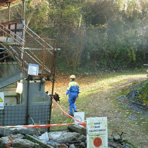Prove abilitative Unit‡ cinofile n. 15 / 73988