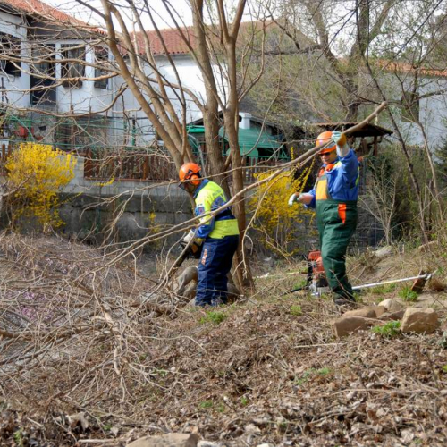 Intervento San Dorligo della Valle - Dolina n. 30 / 79142