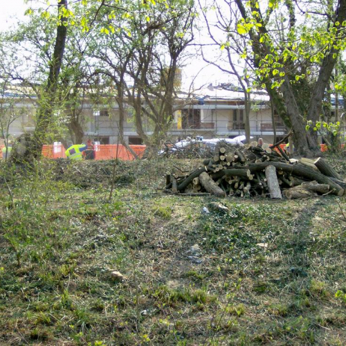 Intervento Ronchis n. 30 / 78925