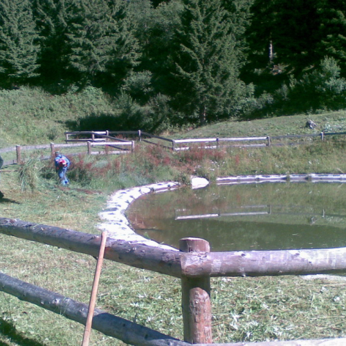 Pulizia della vasca n. 3 / 54899