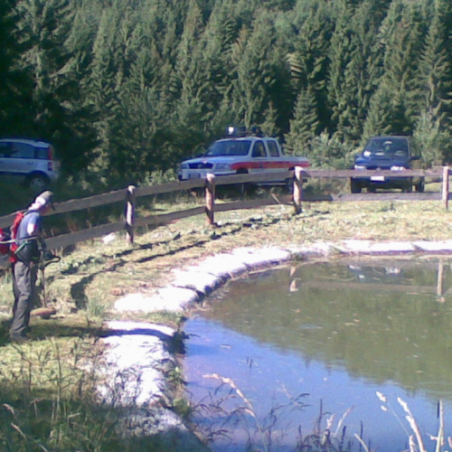 Pulizia della vasca n. 5 / 54901