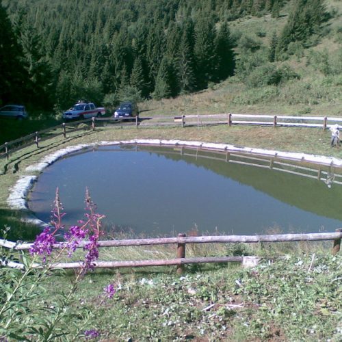 Pulizia della vasca n. 6 / 54902