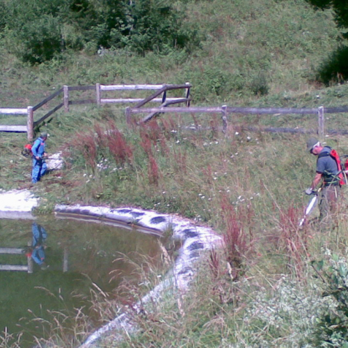 Pulizia della vasca n. 7 / 54903