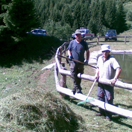 Pulizia della vasca n. 8 / 54904