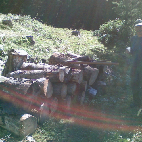 Pulizia della vasca n. 10 / 54906