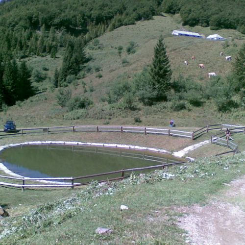 Pulizia della vasca n. 12 / 54908