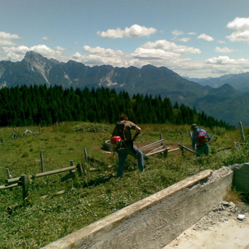 Pulizia della vasca n. 19 / 54915