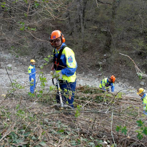 Intervento San Dorligo della Valle - Dolina n. 31 / 79143