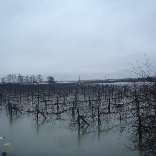 I^ colonna mobile n. 26 / 103193