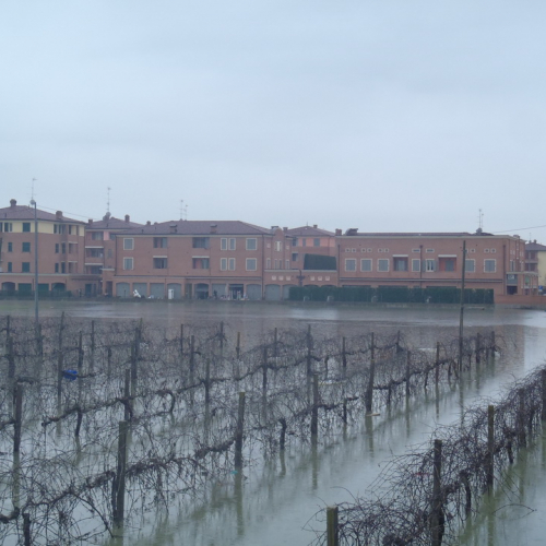 I^ colonna mobile n. 27 / 103194