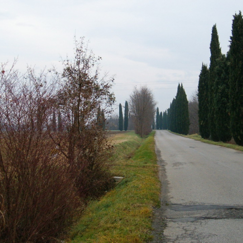 Foto riprofilatura fossati n. 26 (prima dell'intervento) / 23095