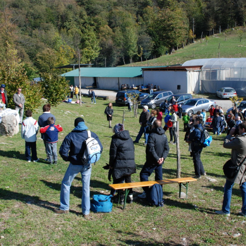 Castagnata 2011 n. 15 / 71366