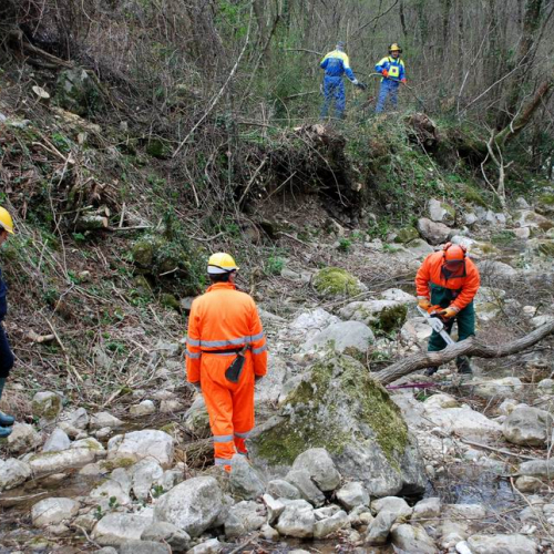 Intervento Attimis n. 32 / 78819