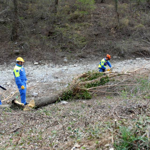 Intervento San Dorligo della Valle - Dolina n. 32 / 79144
